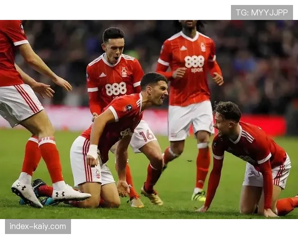 特写：冲突！诺丁汉森林与埃弗顿球员赛后发生大规模争执