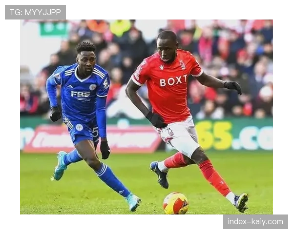 观点：争议点球未判，诺丁汉森林保级关键战0-1惜败埃弗顿